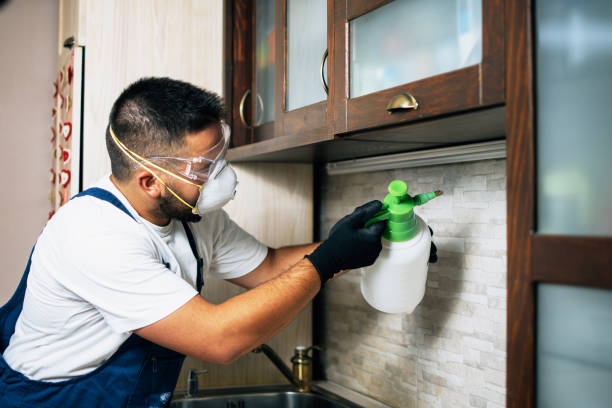 Reliable Doffing, TX Pest Control Solutions