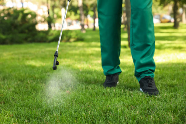 Best Ant Control Services  in Doffing, TX