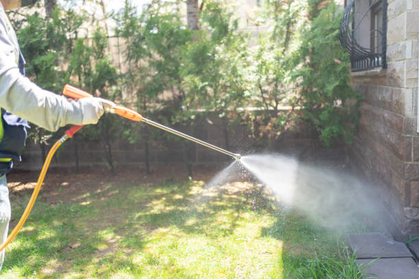 Best Best Pest Control Companies  in Doffing, TX