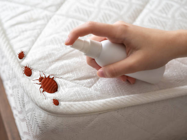 Best Pest Inspection Near Me  in Doffing, TX