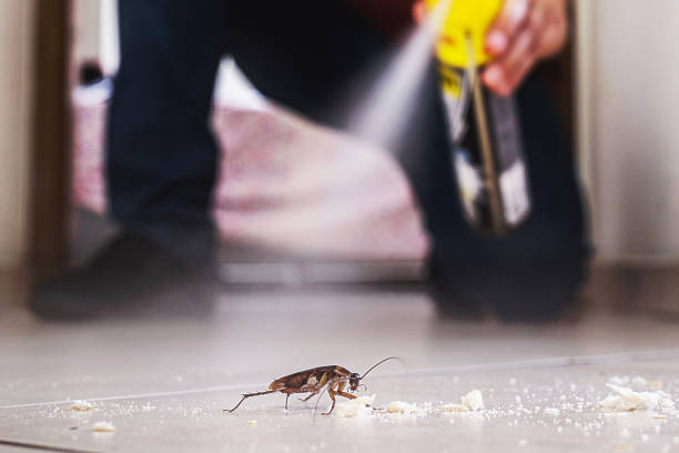 Pest Control for Restaurants in Doffing, TX