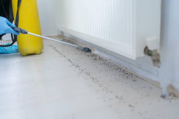 Best Pest Removal Services  in Doffing, TX