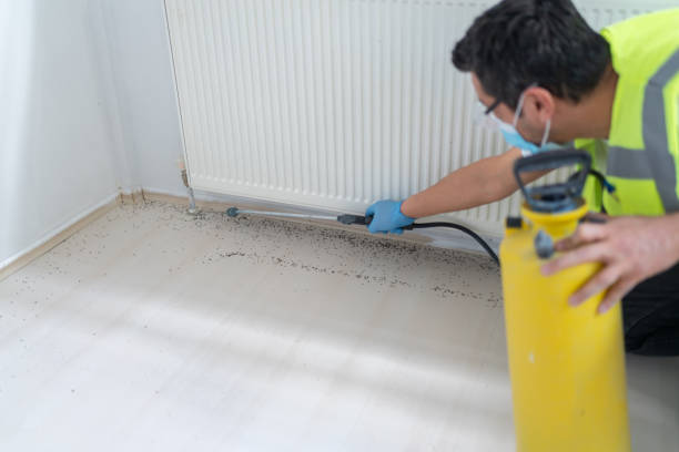 Best Flea Control Services  in Doffing, TX
