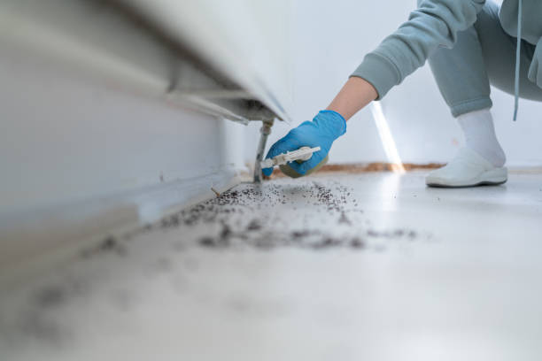 Best Rat Extermination Near Me  in Doffing, TX