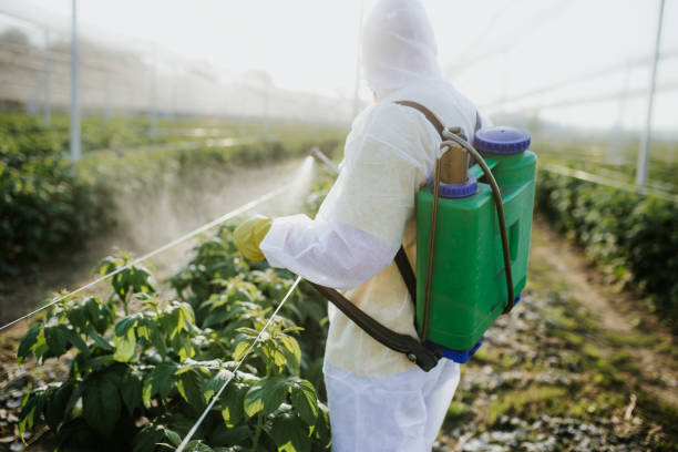 Best Ant Control Services  in Doffing, TX